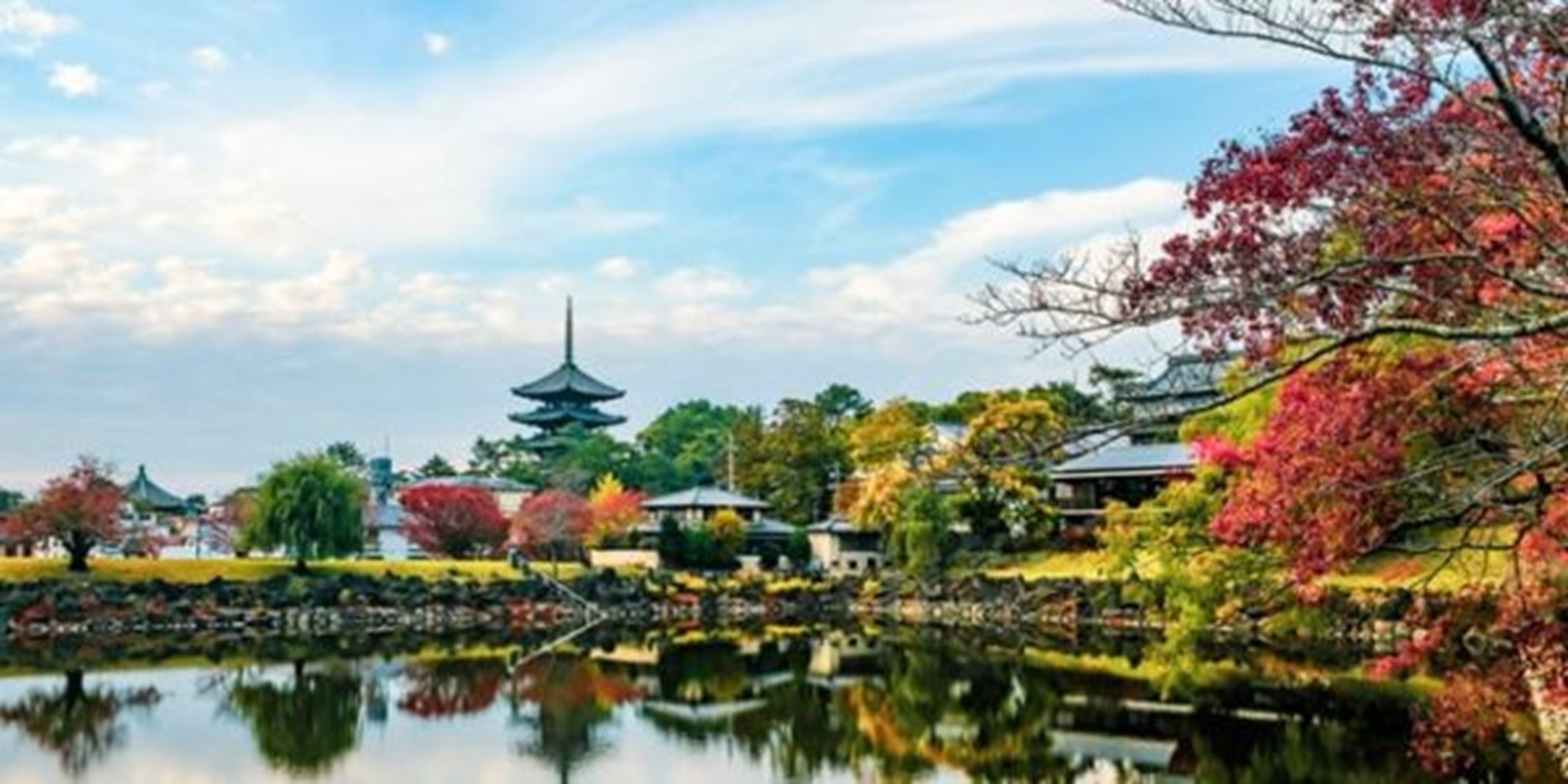 JAPONIA IN ARMONII DE TOAMNA 2021 - TRADITIE NEATINSA SI MODERN LA INALTIME