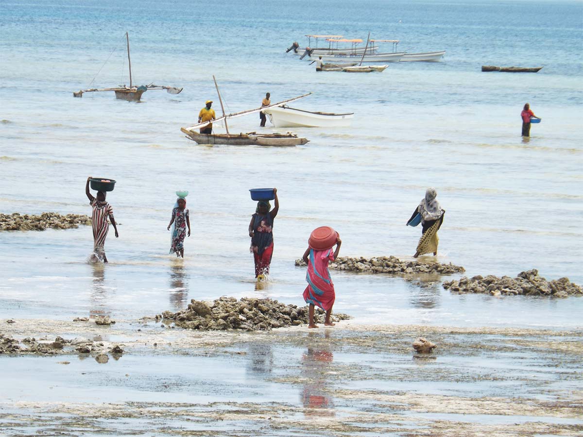 Sejur La Plaja Zanzibar 2024!